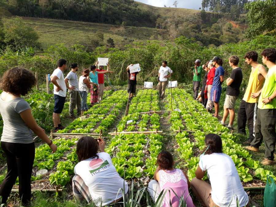 Processos ecológicos em agricultura sustentável - Parte 2